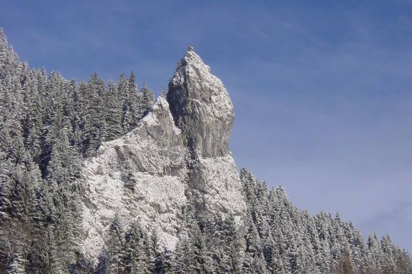 Hotel Alpenrose Ebnit*** (Dornbirn)